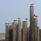 Woher kommt de Wind?!