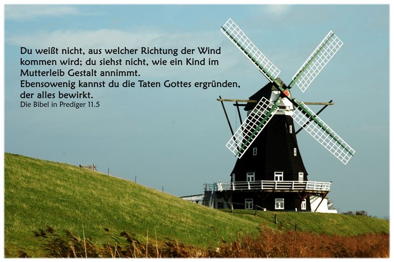 Woher kommt der Wind?