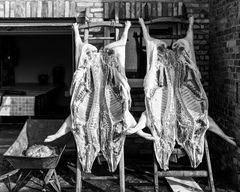 woher unser Fleisch kommt XVI