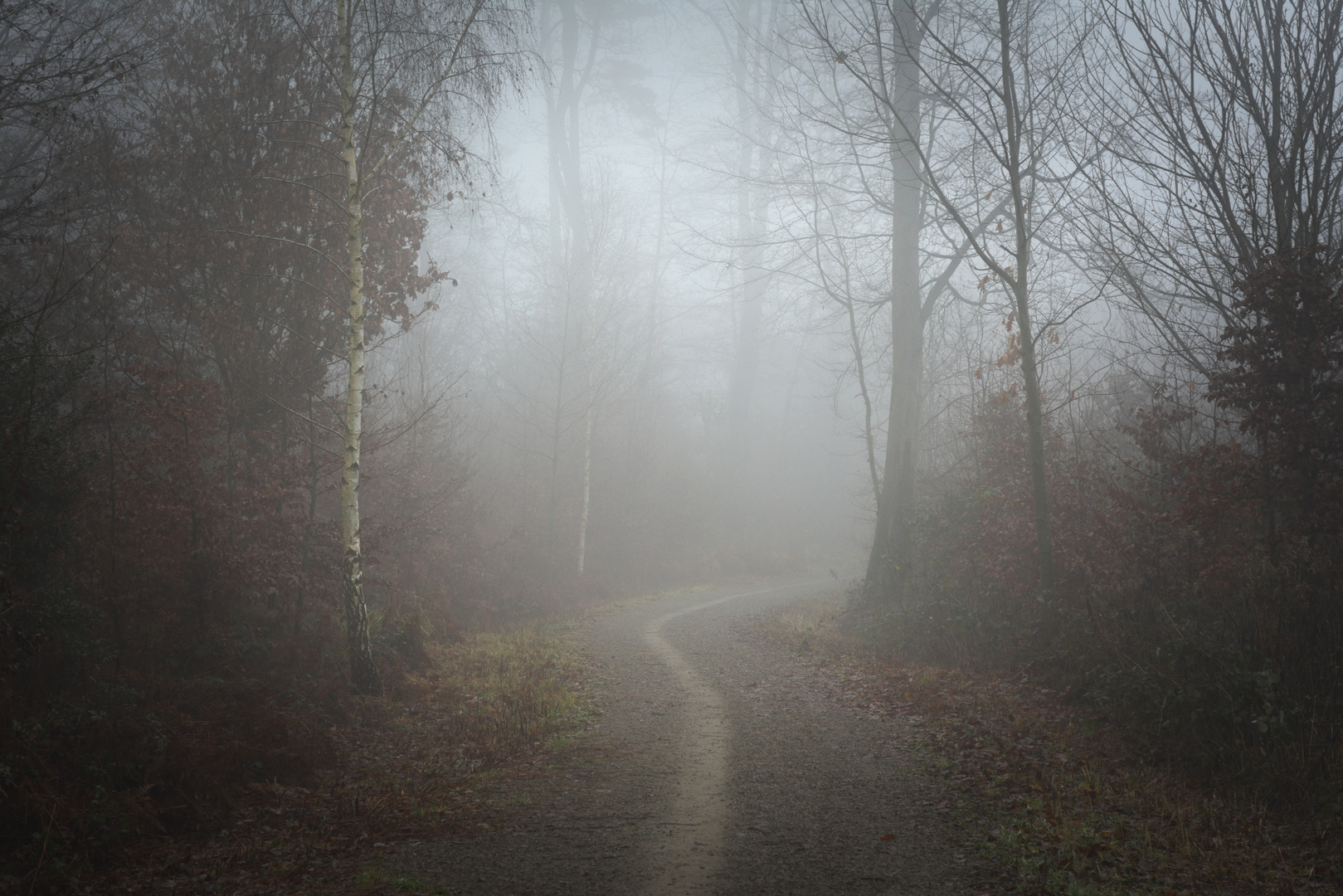 Wohin der Weg auch führt...