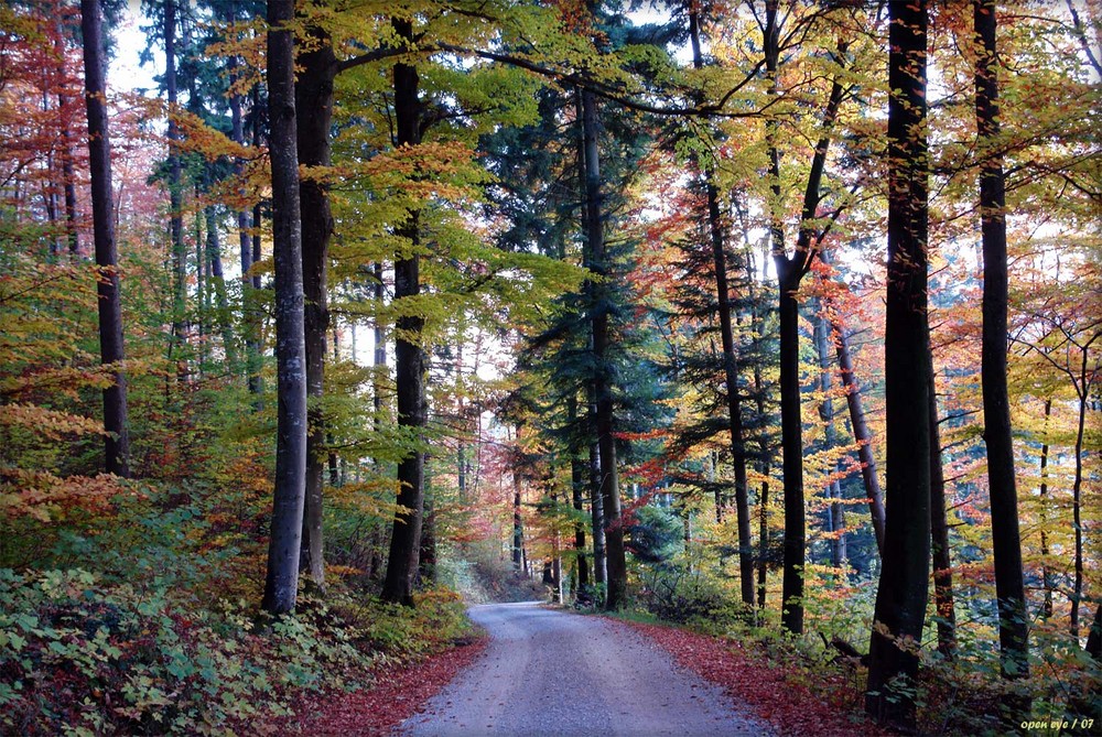 Wohin der Weg auch geht er führt dich an einen Ort.