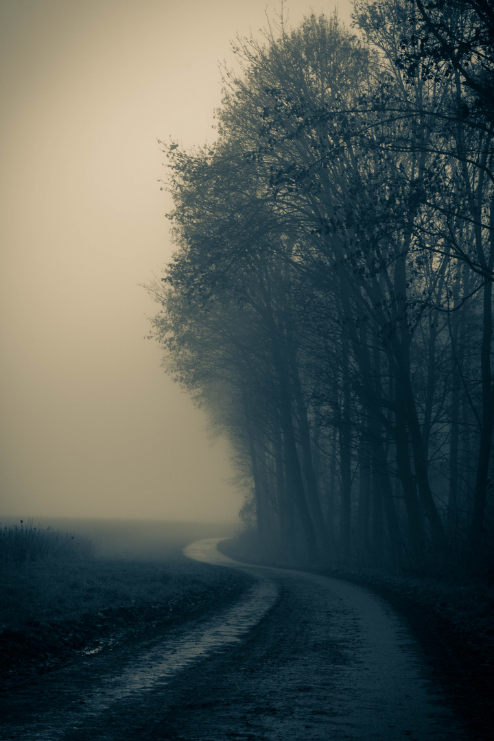 Wohin der Weg mich führt .... Foto & Bild | fotos, spezial, outdoor ...