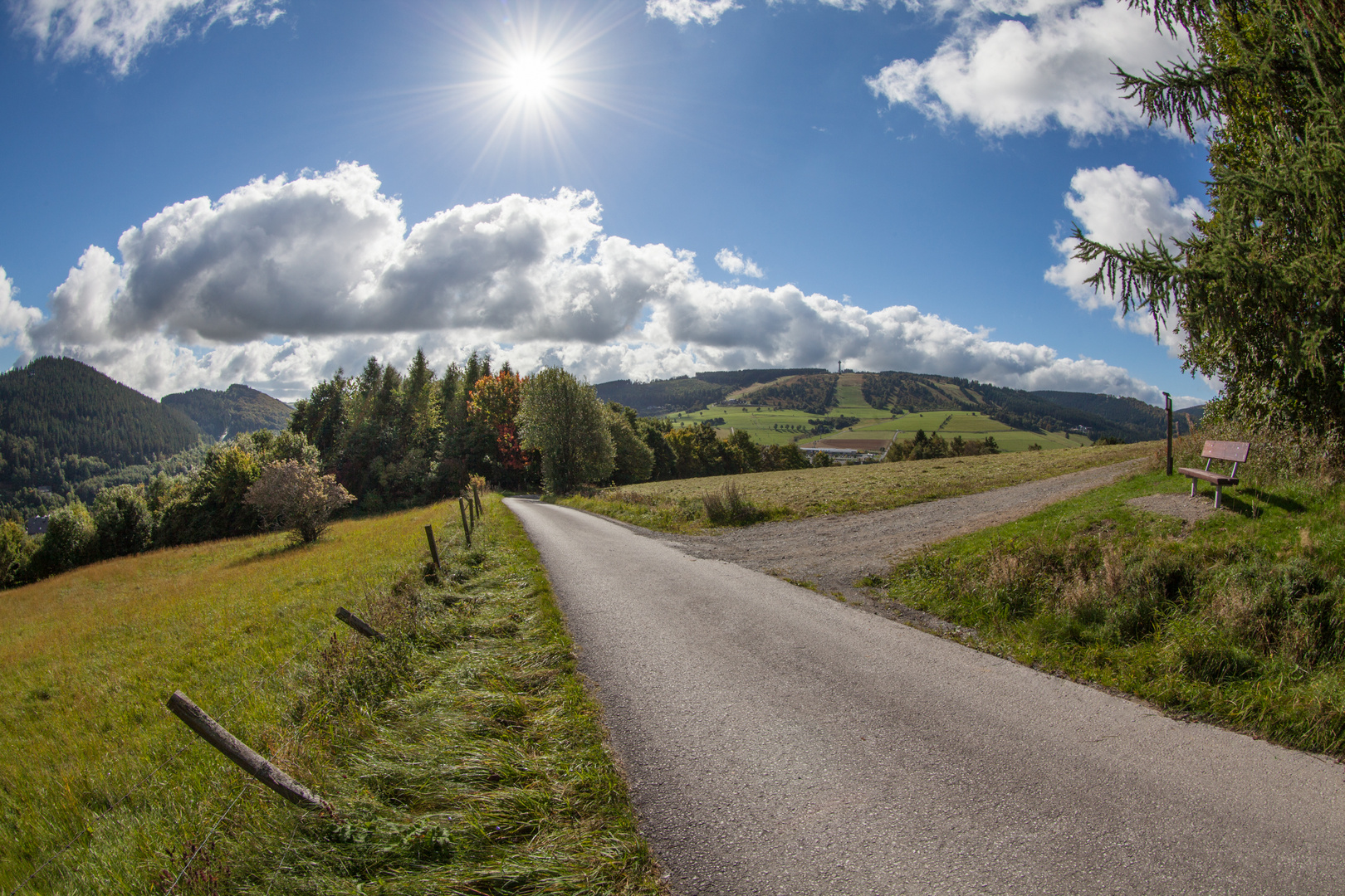 Wohin der Weg uns führt