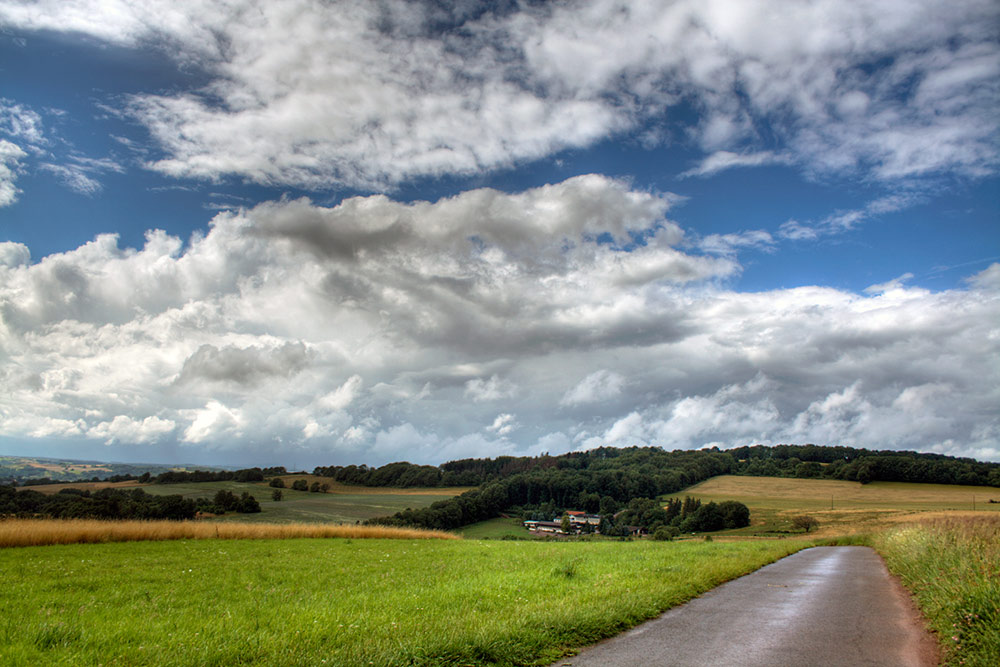 Wohin der Weg uns führt