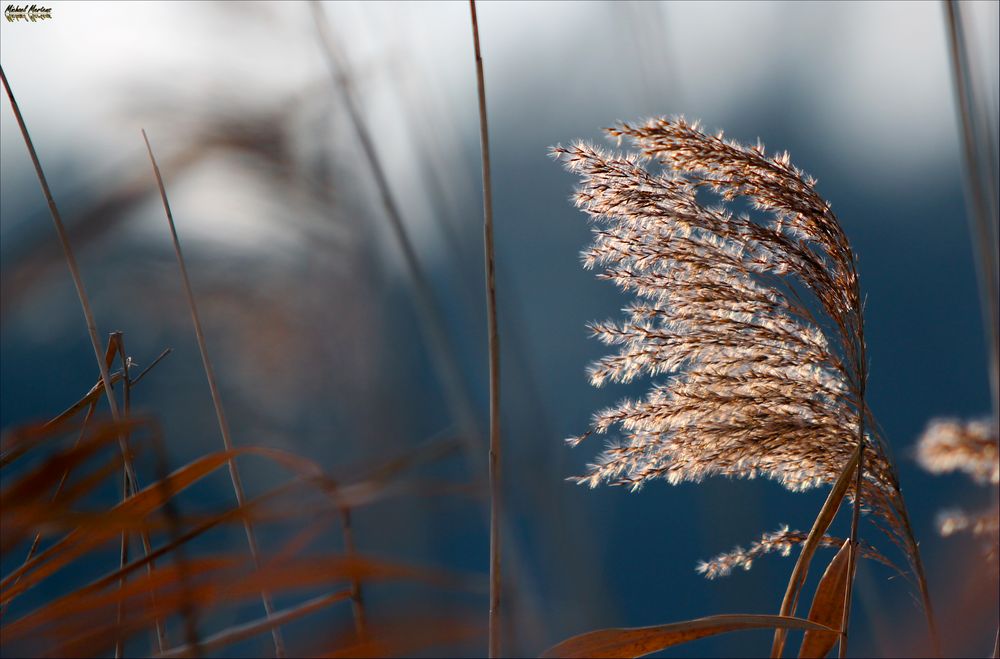 Wohin der Wind weht...