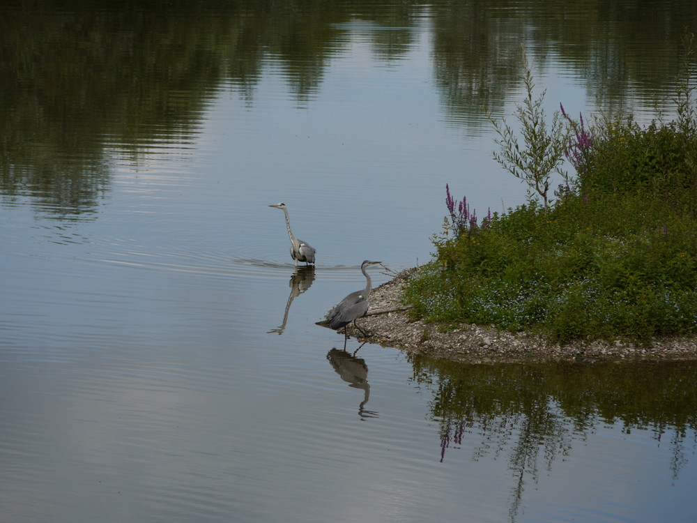 wohin des Weges ?