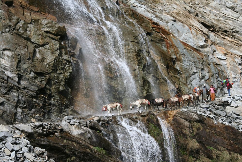 Wohin du auch gehst, geh mit deinem ganzen Herzen. Konfuzius Foto