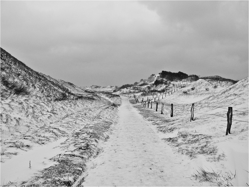 Wohin führt der Weg ...