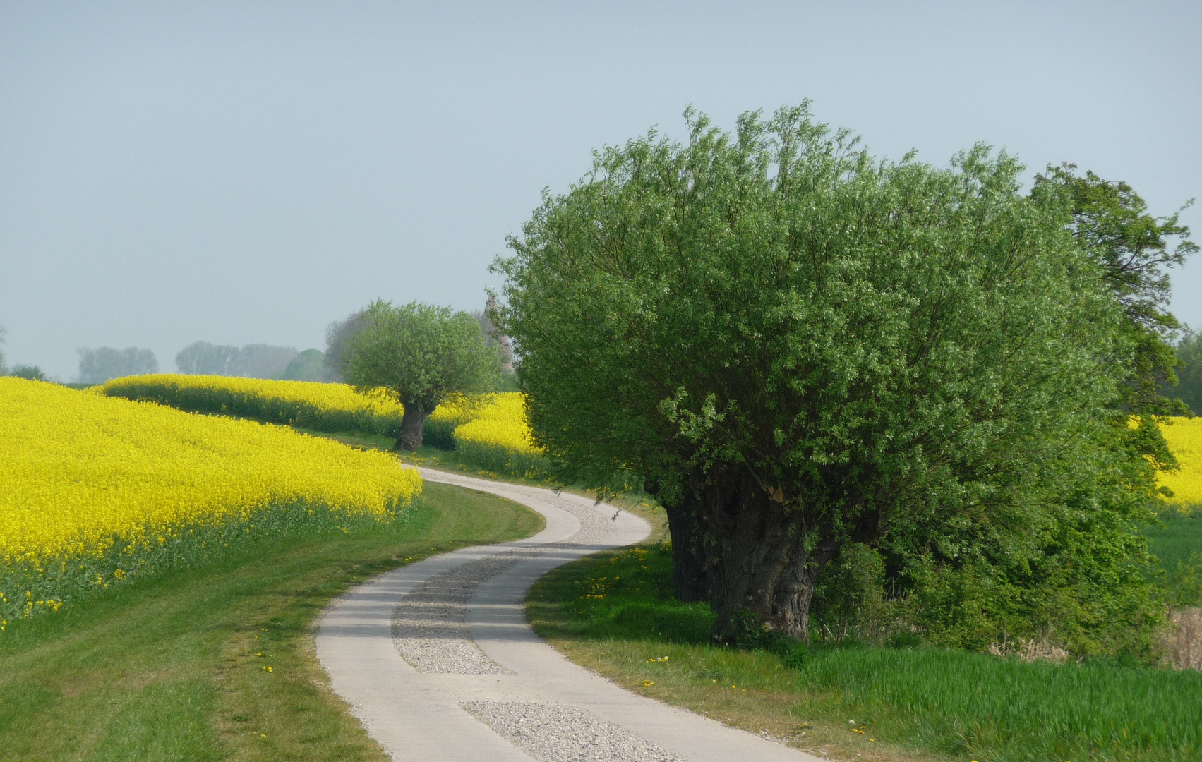 Wohin führt der Weg ?