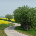 Wohin führt der Weg ?