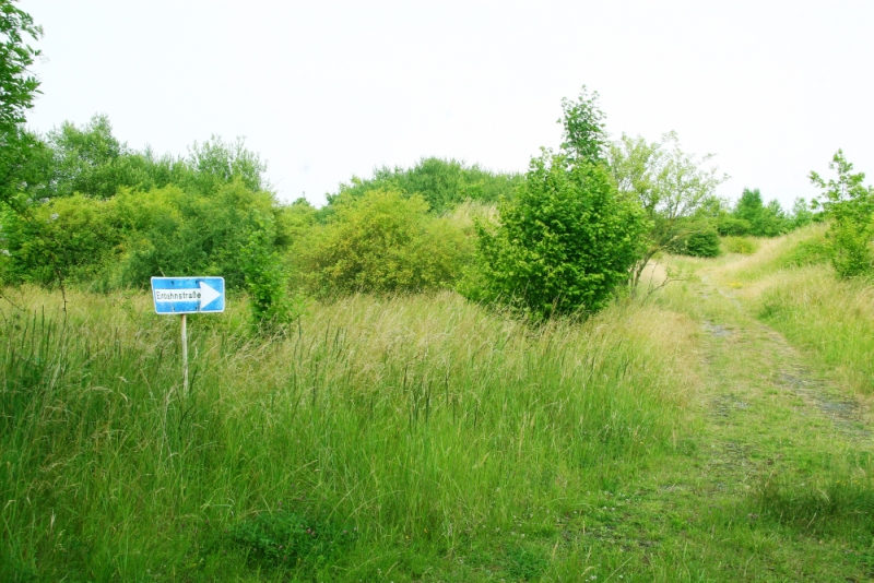 wohin führt der Weg ?