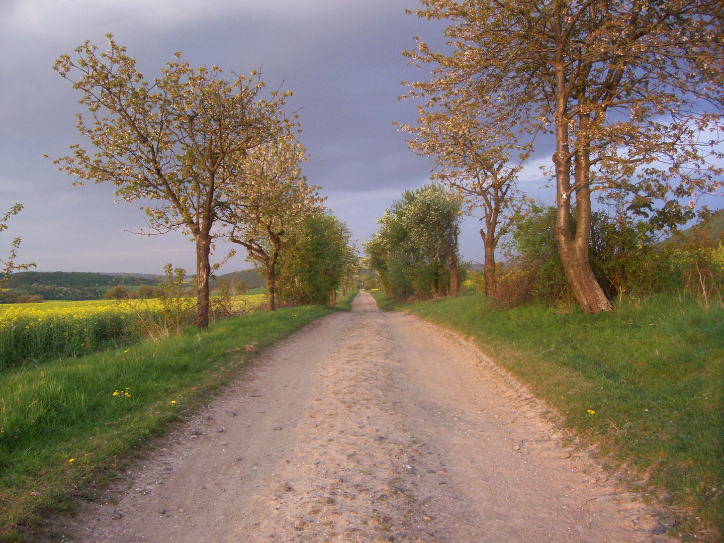 Wohin führt der Weg?