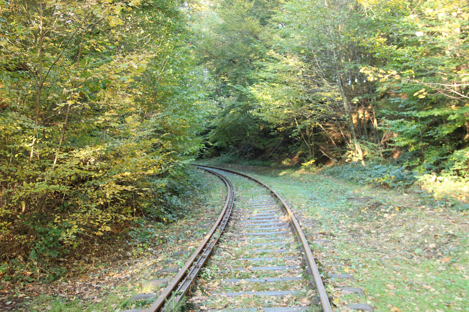 wohin führt der Weg?