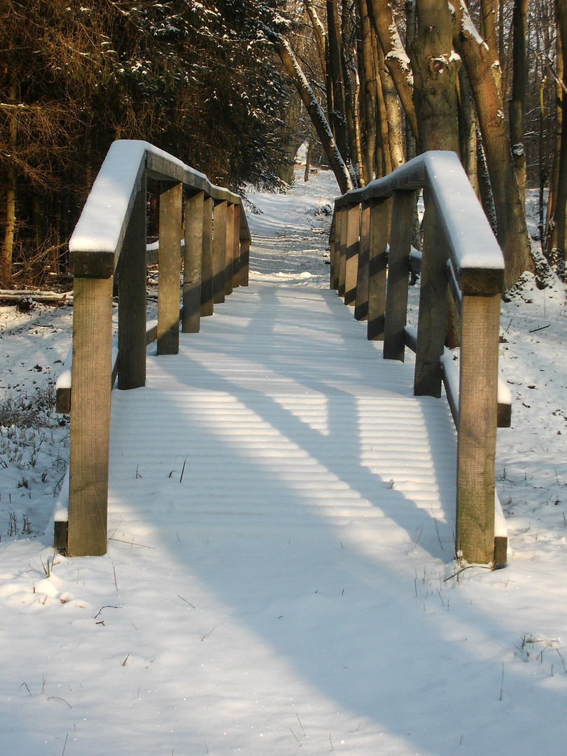 Wohin führt der Weg ?