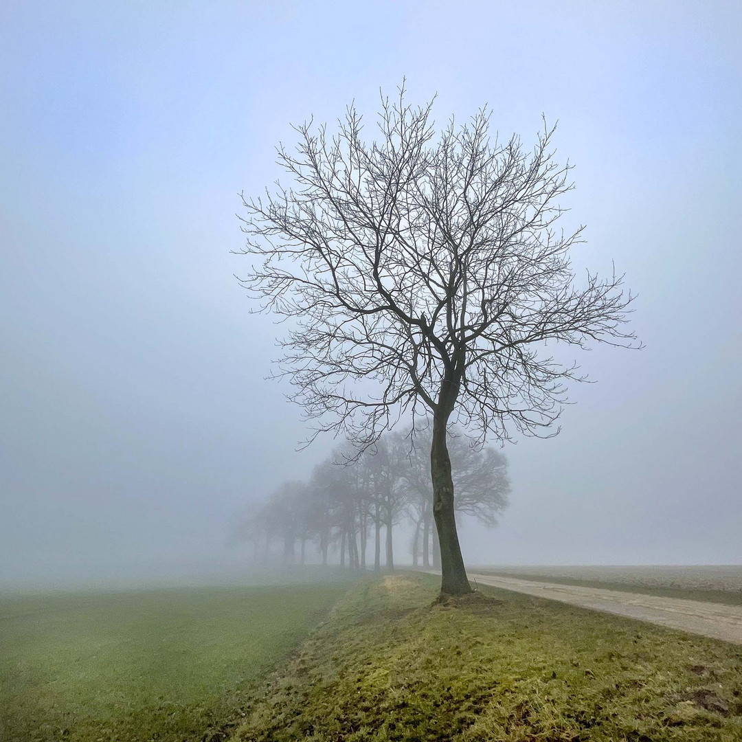 Wohin führt der Weg