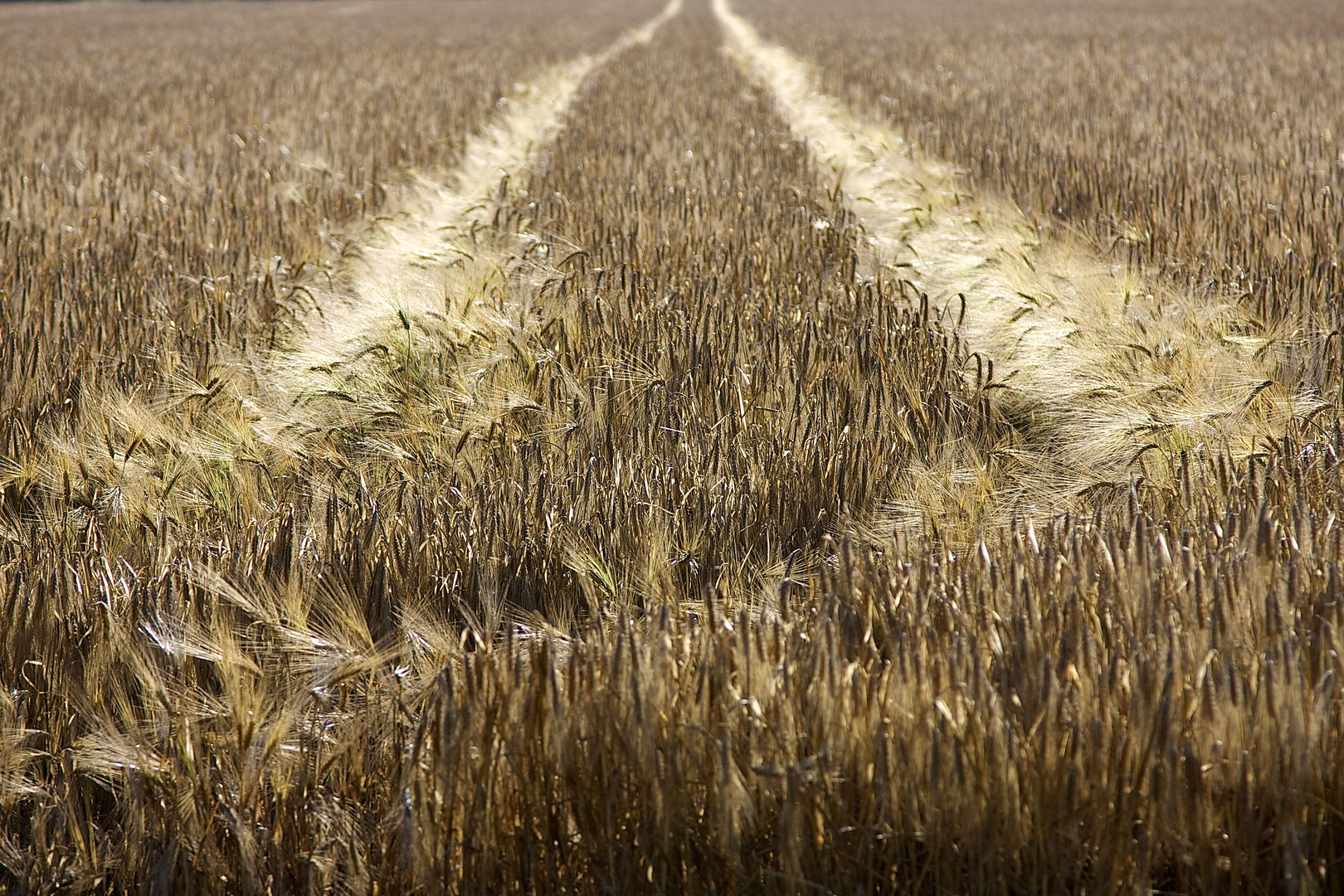 Wohin führt der Weg ?