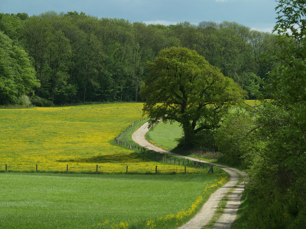 Wohin führt der Weg?