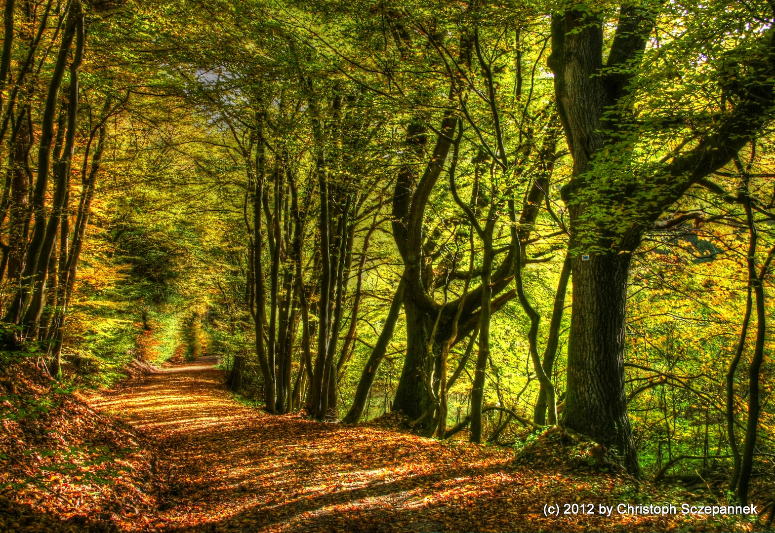 Wohin führt der Weg?