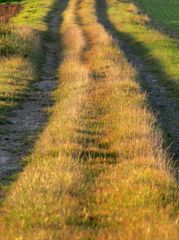 Wohin führt der Weg