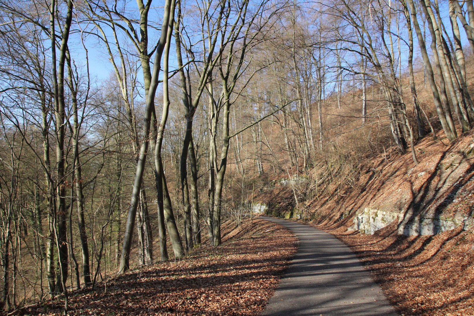 Wohin führt Dich der Weg?