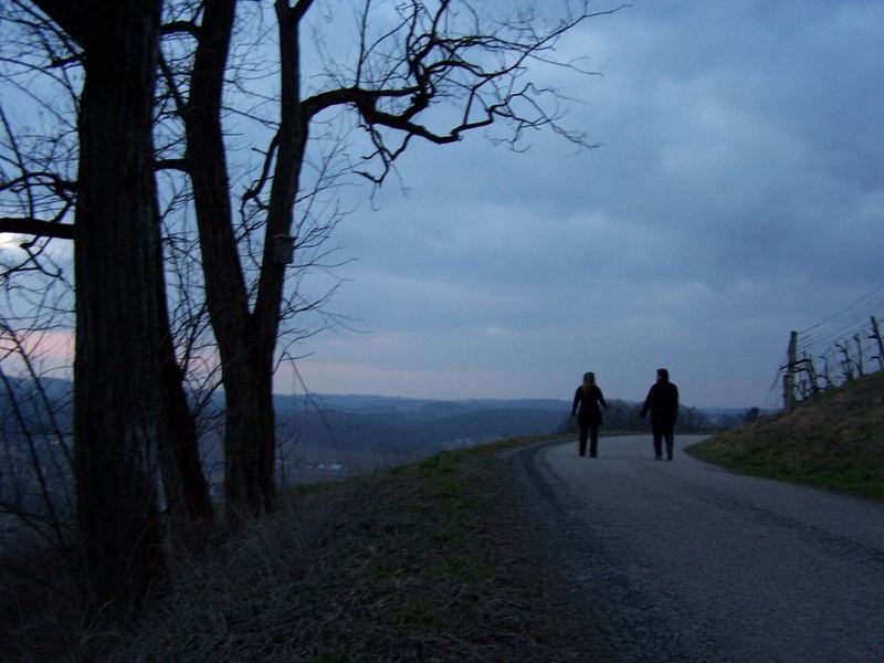 Wohin führt mich der Weg?