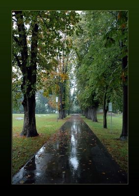 Wohin führt uns der Herbst ?