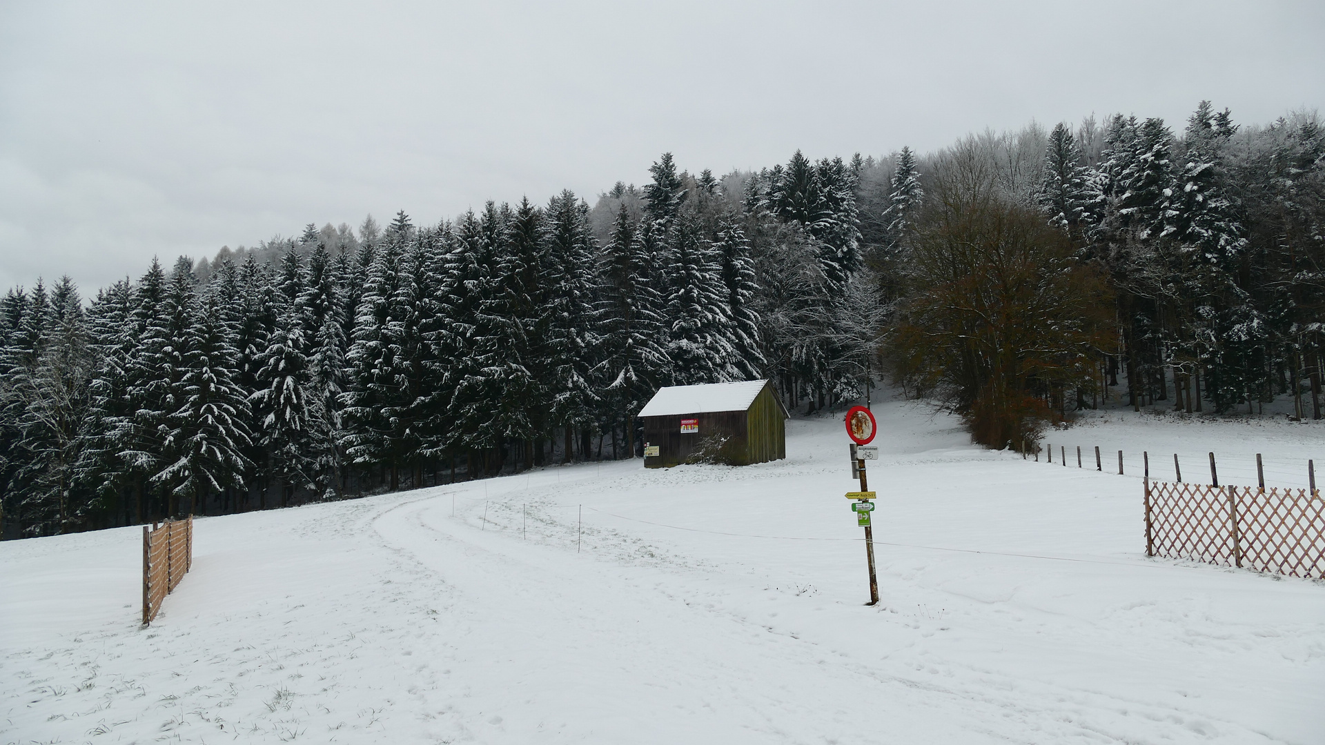 Wohin führt uns der Weg