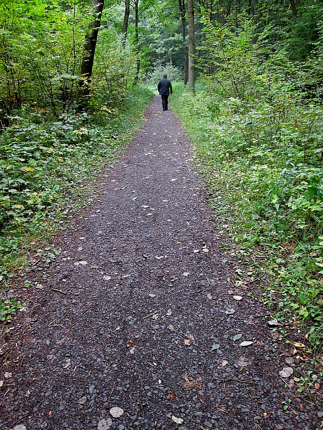 Wohin führt uns der Weg... 2