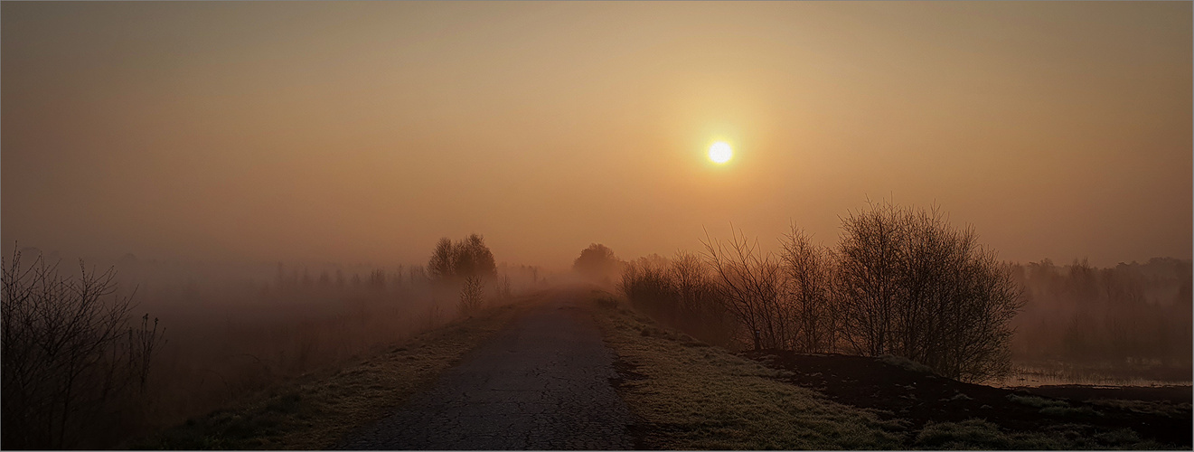 Wohin führt uns der Weg   . . .