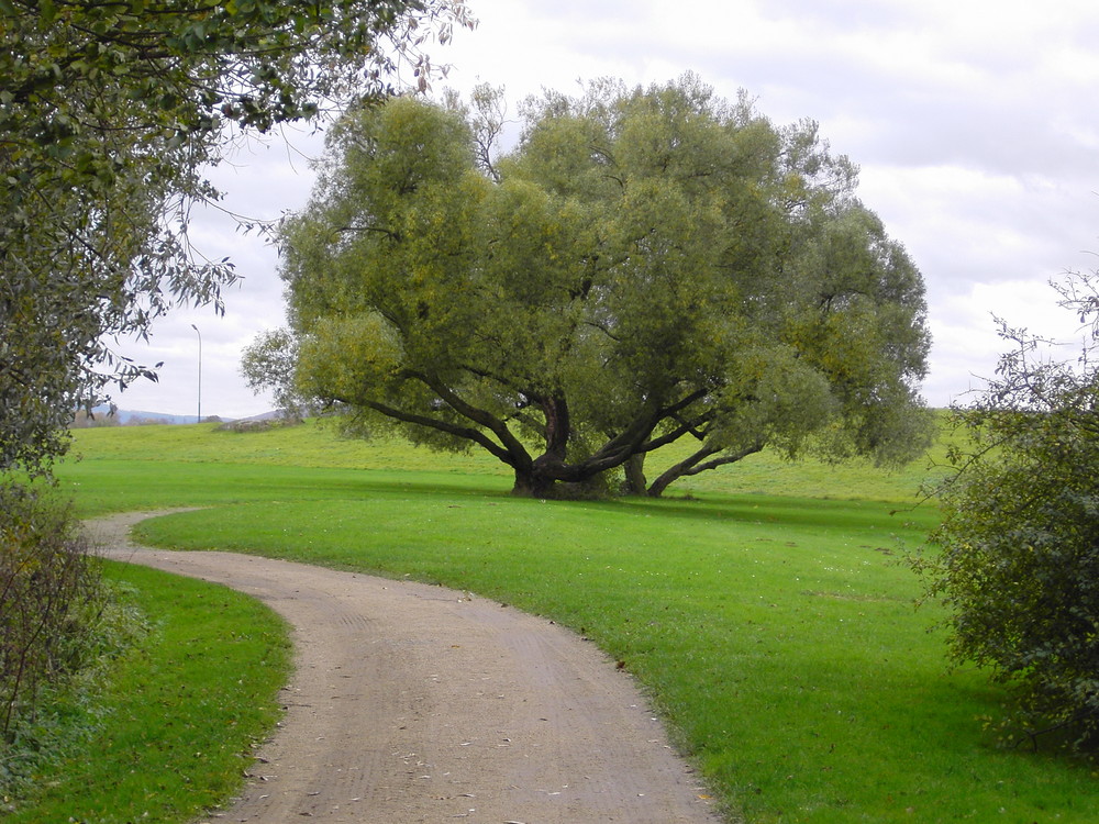 Wohin führt uns der Weg ?