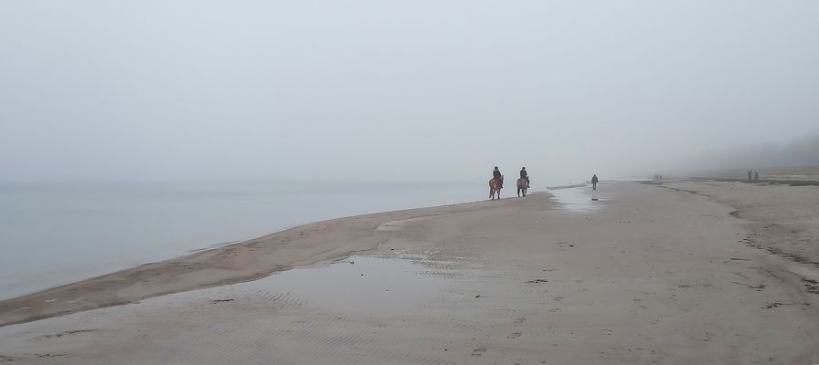 Wohin führt unser Weg 2025 ?