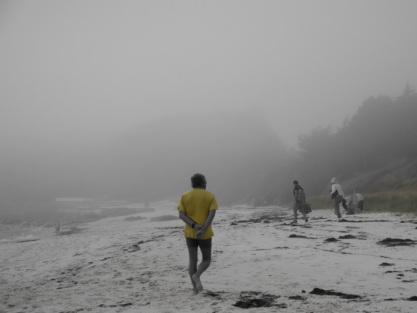 Wohin gehen die Farben im Nebel?