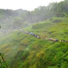 Wohin gehen sie denn?... China Guizhou Huangguoshu