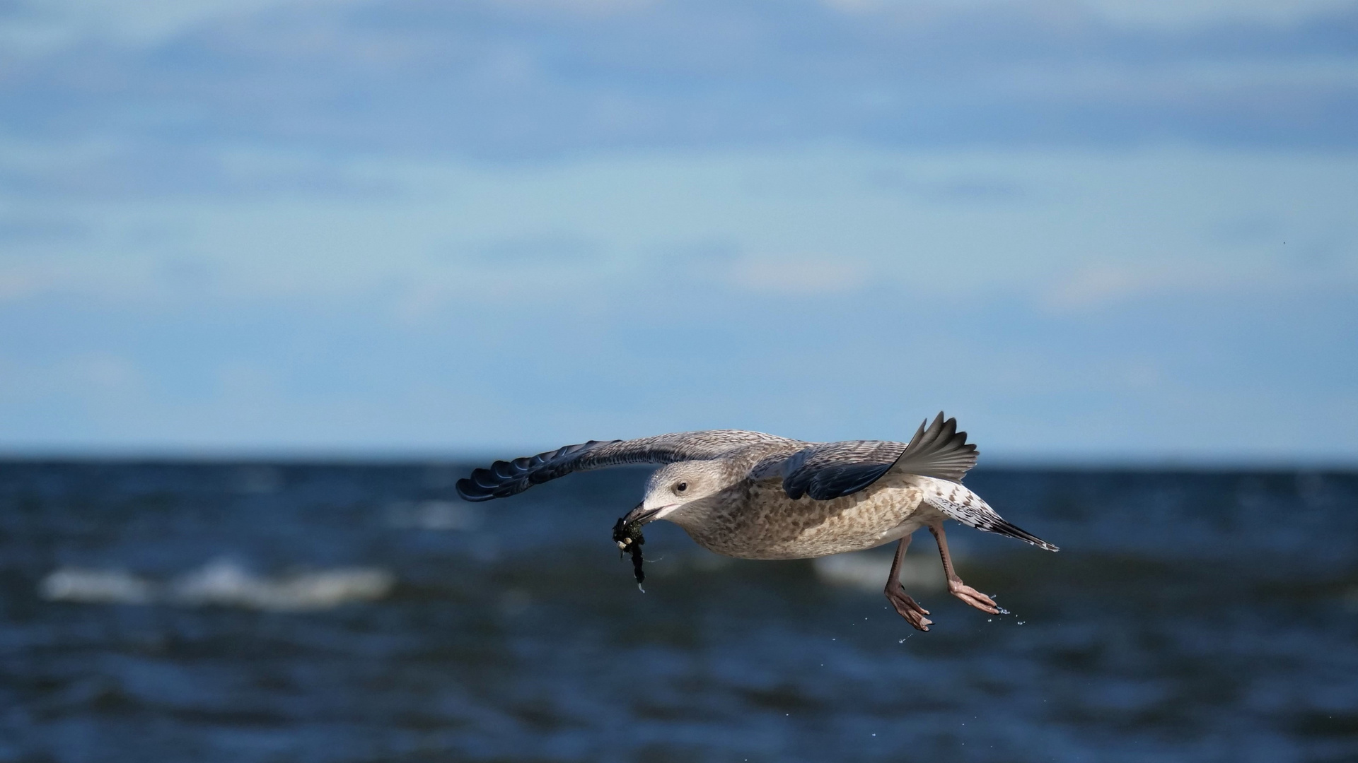 Wohin geht der Flug?