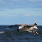 Wohin geht der Flug?