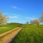 Wohin geht der Weg?