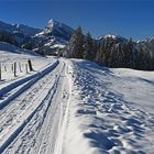 Wohin geht der Weg?