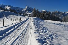 Wohin geht der Weg?