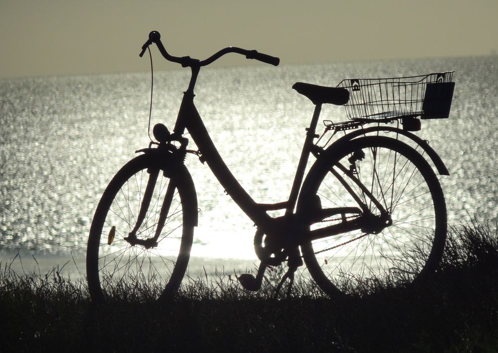 Wohin geht die Reise? Ein Fahrrad im Gegenlicht.