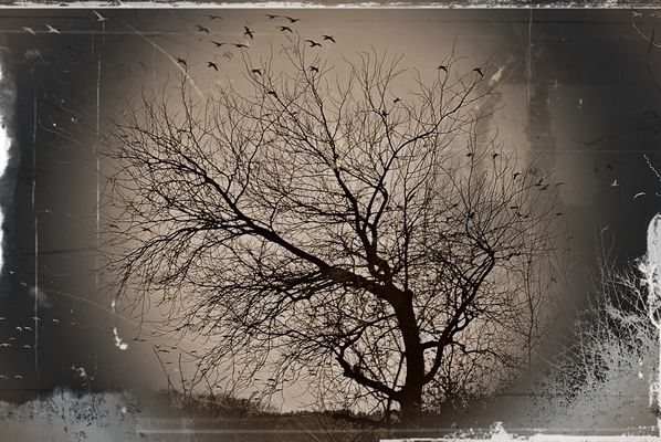 Wohin geht die Reise?...