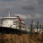 Wohin ist die QM2 denn da geraten ?