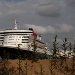 Wohin ist die QM2 denn da geraten ?