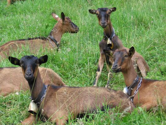 Wohin soll ich schauen?