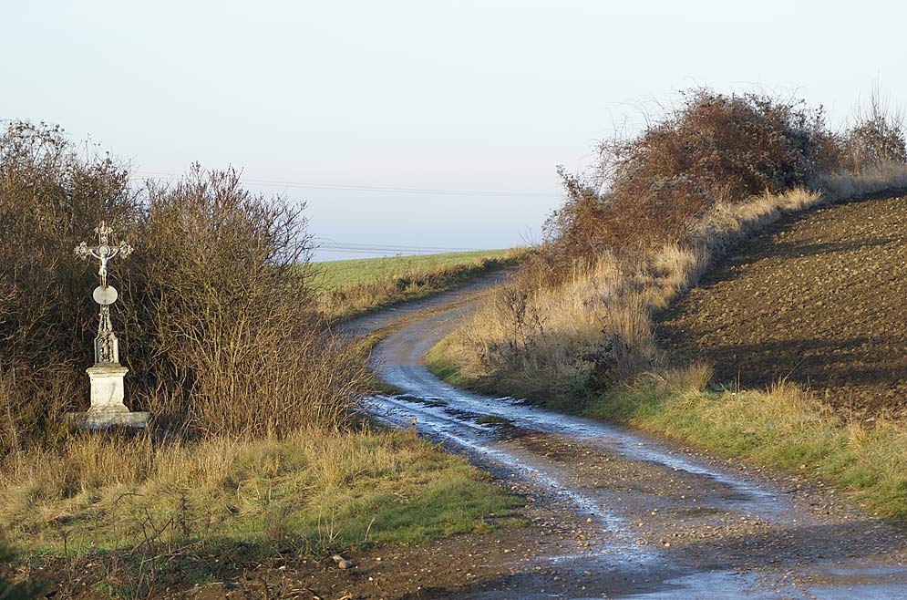 . . wohin uns der Weg auch führen mag . .