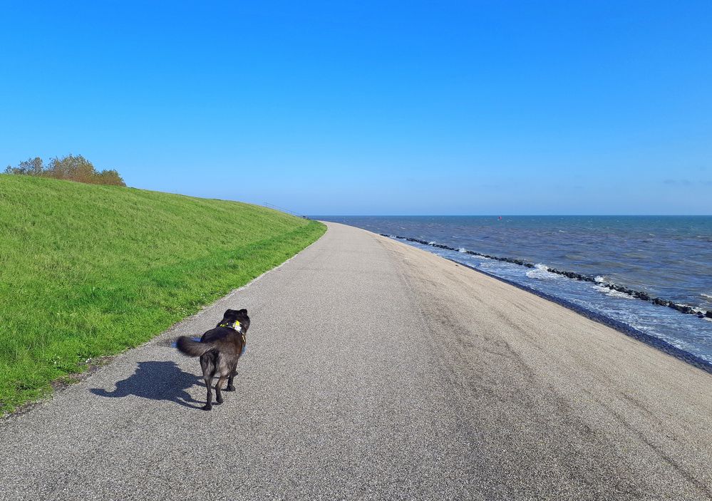 Wohin uns der Weg auch führen wird......