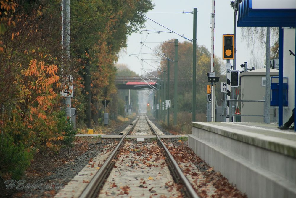 wohin uns der Weg auch führt.....