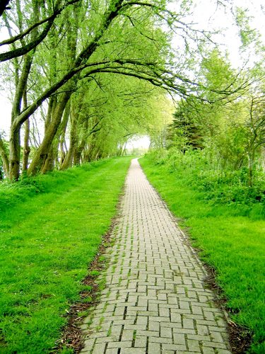 Wohin uns der Weg des Lebens führt....