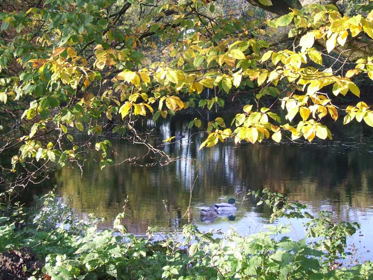 Wohl der letzte schöne Herbsttag