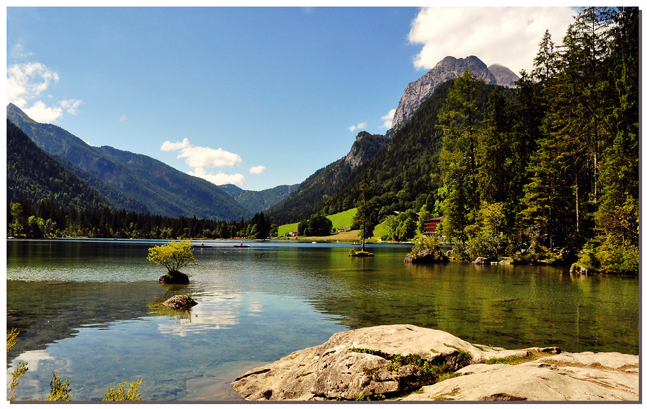 Wohl eines der meistfotografierten "See-Bäumchen" in Deutschland...