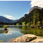 Wohl eines der meistfotografierten "See-Bäumchen" in Deutschland...